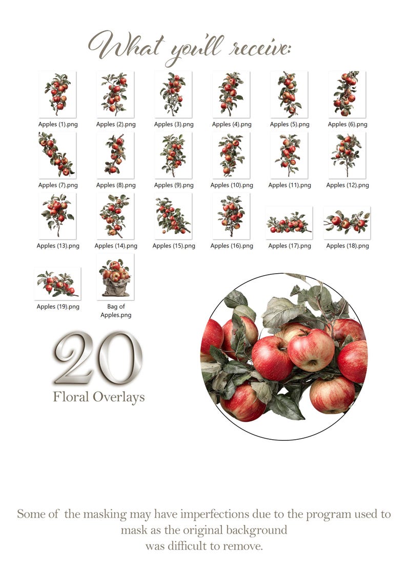 May include: A digital collection of 20 apple-themed floral overlays featuring various branches laden with red apples and green leaves, labelled Apples (1) through (19) and Bag of Apples, with a large circular sample showing detailed red fruit.