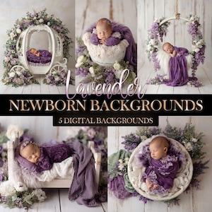 May include: A collection of five digital photography backdrops featuring newborns in purple outfits. Scenes include a white carriage, a basket, a hanging swing, a small bed, and a round bowl, all decorated with lavender floral arrangements.