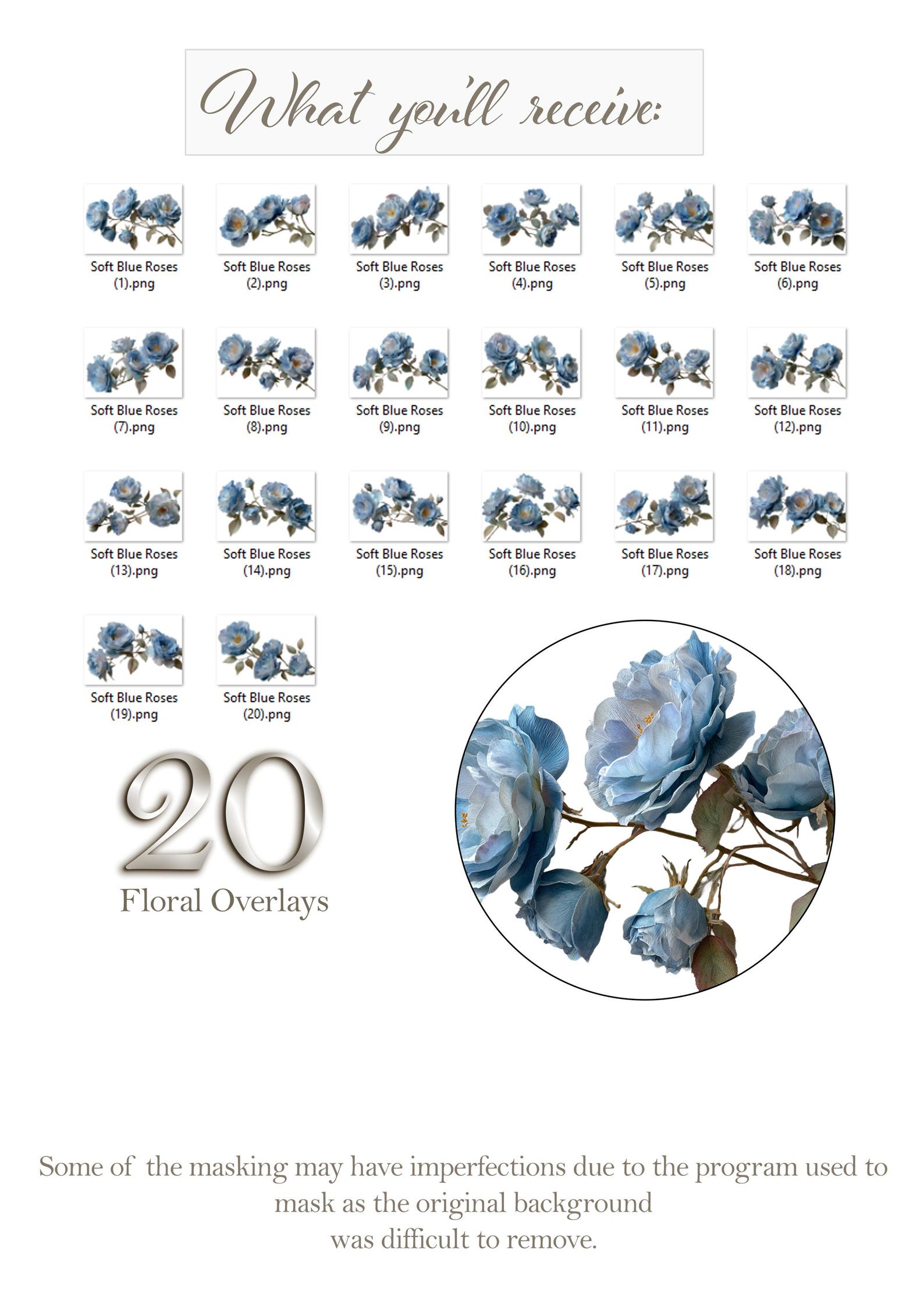 Blue Roses Overlay Soft Blue Roses Floral Overlays - Etsy