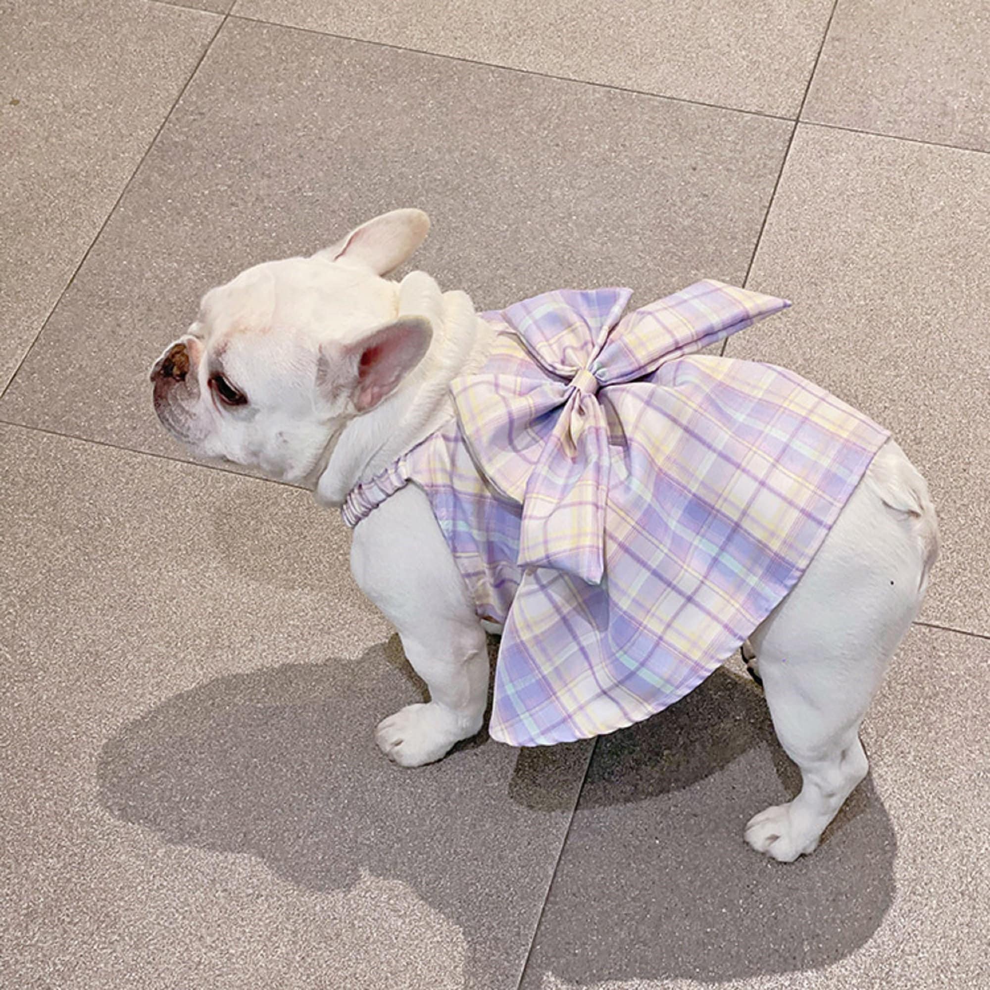 French Bulldog Purple Plaid Skirt/puppy JK Dress/small Dog Etsy