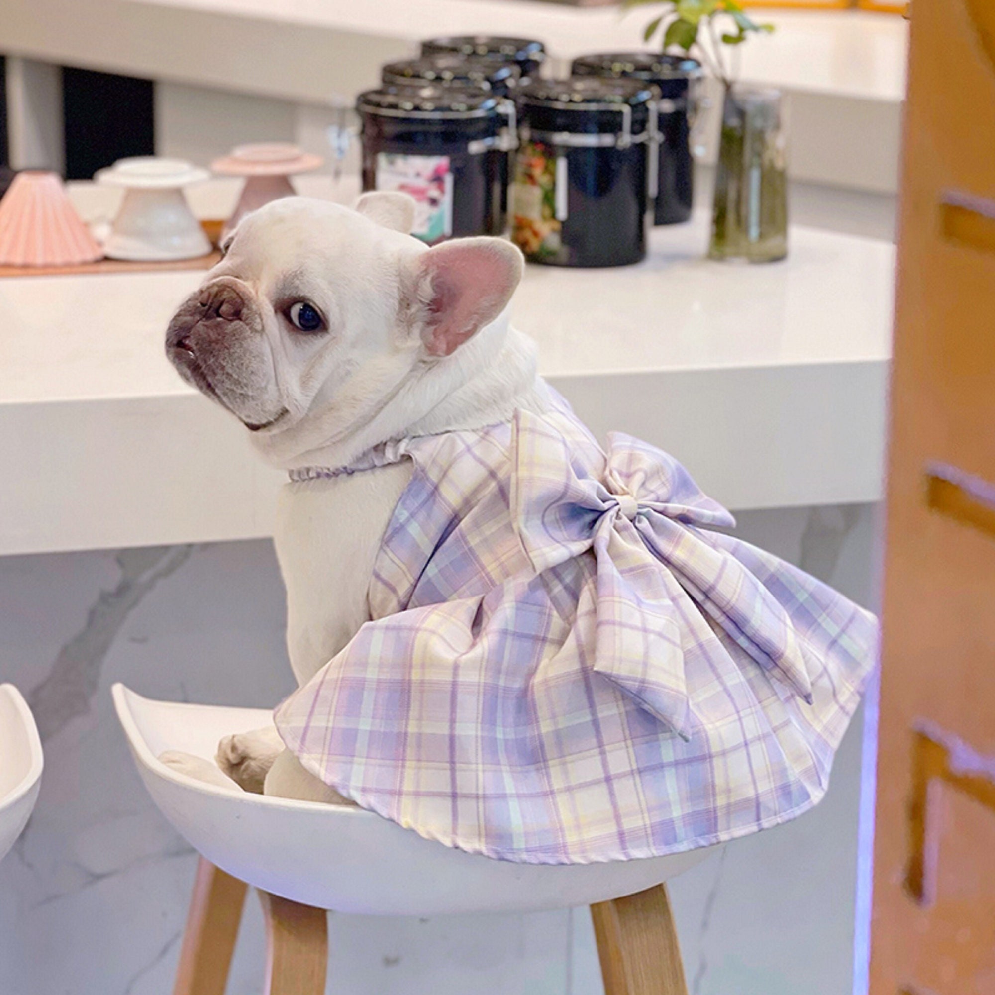 French Bulldog Purple Plaid Skirt/puppy JK Dress/small Dog Etsy