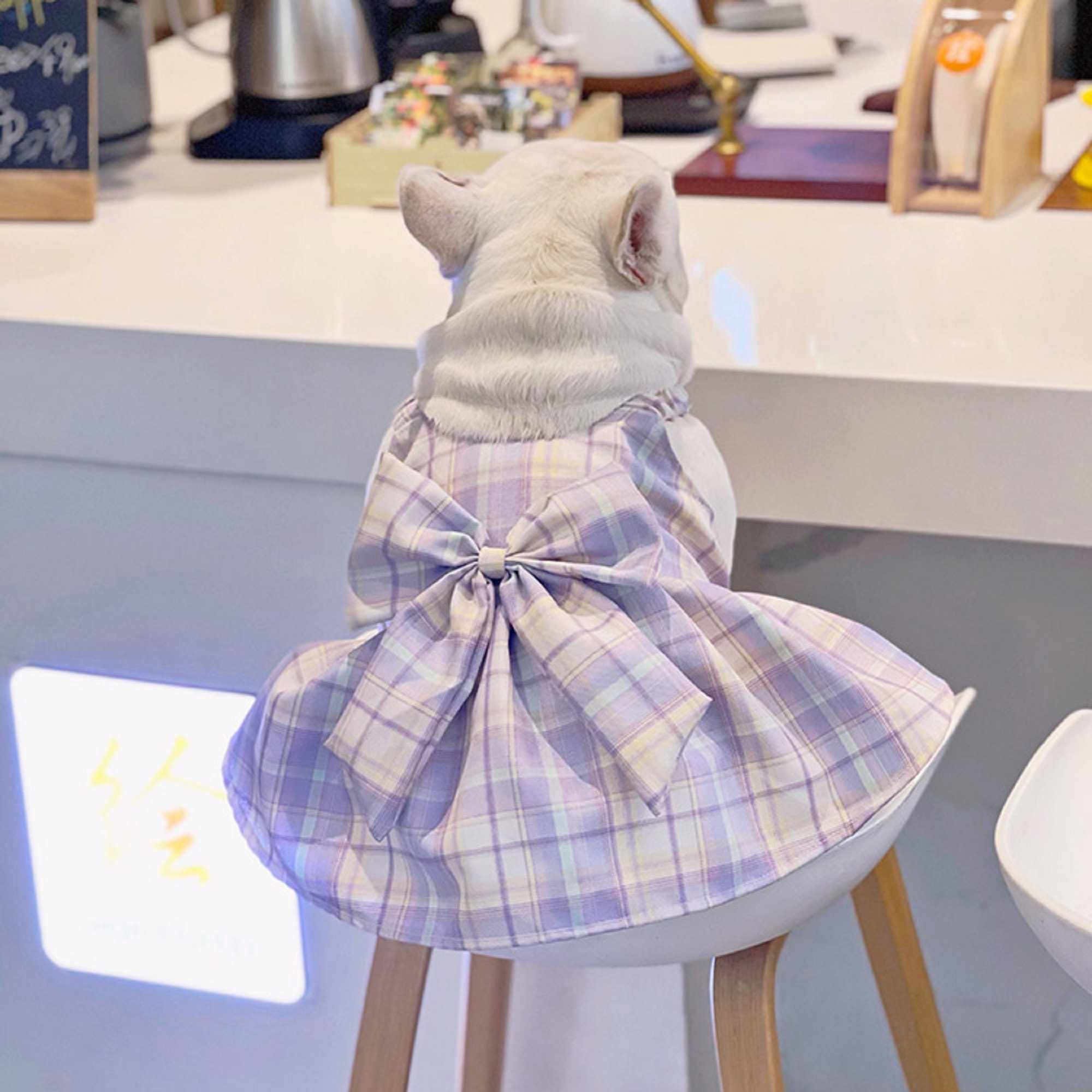 French Bulldog Purple Plaid Skirt/puppy JK Dress/small Dog Etsy