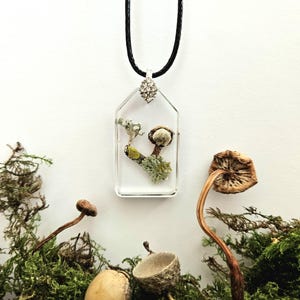 Real Foraged Mushroom Pendant | Fairycore Necklace | Witchy Woodland Jewellery | Resin Terrarium Necklace | Nature Spirit Gift