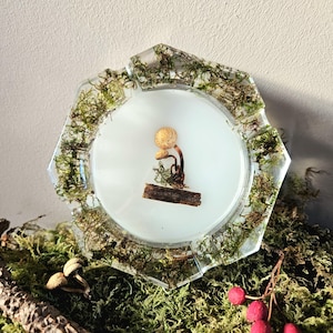Real Mushroom Ashtray / Trinket Dish – Handmade Nature Ashtray with Foraged Mushrooms and Moss | Forest Decor | Cottagecore Gift | Fairycore
