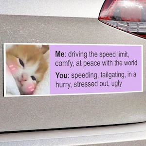 Meme Cat Car Magnet, Cute Funny Kitten Bumper Sticker, Gen Z Bumper Magnet