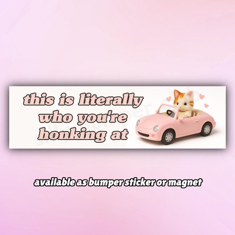 May include: A bumper sticker with the text "this is literally who you're honking at." The sticker features a pink convertible car with a cat inside. The text "available as bumper sticker or magnet" is at the bottom.