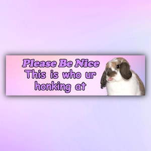 Cute Bunny Bumper Sticker or Car Magnet &quot;Please Be Nice This is Who Ur Honking At&quot;, Funny Gen Z Car Sticker, Rabbit Car Decal