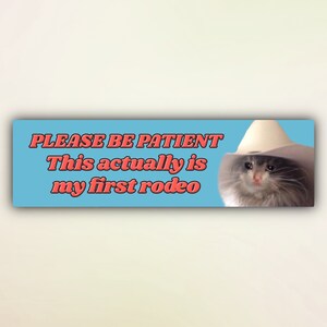 Funny Cat Bumper Sticker &quot;Please Be Patient This Actually Is My First Rodeo&quot;, Cute Kitten Meme Car Stickers