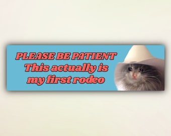 Divertente adesivo per paraurti con gatto "Per favore sii paziente, questo è in realtà il mio primo rodeo", adesivi per auto con simpatico gattino