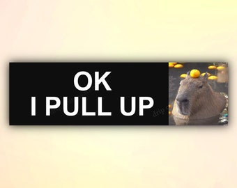 May include: A black and white sticker with the text "OK I PULL UP" in white letters. A capybara with an orange fruit on its head is in the water in the background.