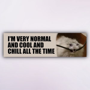 Funny Cat Bumper Sticker "I'm Very Normal and Cool and Chill All the Time", Meme Car Stickers, Unhinged Gen Z Car Decal