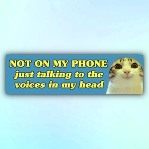 Unhinged Cat Bumper Sticker &quot;Not On My Phone just talking to the voices in my head,&quot; Funny Gen Z Car Sticker, Meme Cat Sticker
