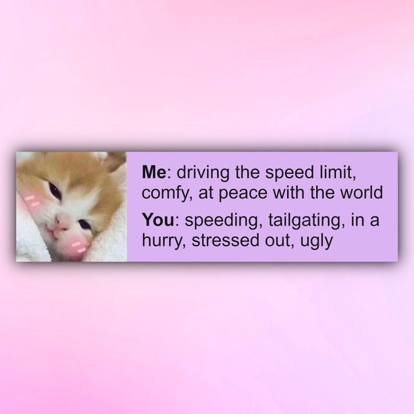 Meme Cat Bumper Sticker, Cute Funny Kitten Bumper Sticker, Gen Z Car Sticker