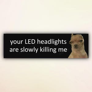 May include: A black and white image of a dog with the text "your LED headlights are slowly killing me" on a black background.