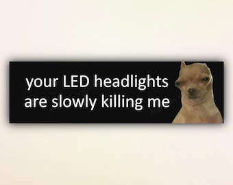 面白い犬のバンパーステッカー「あなたの LED ヘッドライトがゆっくりと私を殺しています」、ミーム チワワ カーステッカー、Gen Z カーデカール