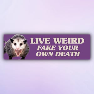 Funny Possum Bumper Sticker "Live Weird Fake Your Death" Meme Car Sticker, Unhinged Gen Z Car Decal