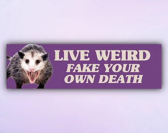 Grappige Possum bumpersticker "Live raar Fake Your Death" Meme autosticker, losgeslagen Gen Z auto sticker