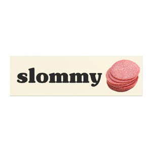 Meme-bilmagnet "Slommy", rolig stötfångarmagnet bild 3