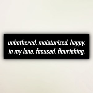 Funny Bumper Sticker &quot;unbothered. moisturized. happy. in my lane. focused. flourishing.&quot;, Unhinged Meme Car Stickers, Gen Z Ironic Car Decal