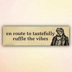Funny Frog Bumper Sticker or Car Magnet &quot;En Route to Tastefully Ruffle the Vibes&quot;, Silly Frog Meme Car Stickers/Magnets, Unhinged Car Decal