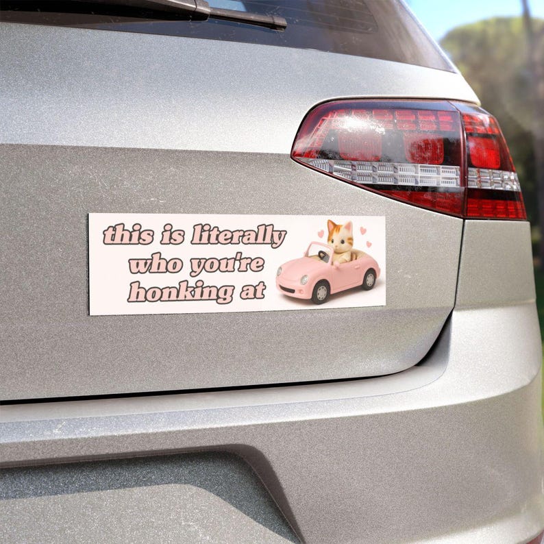 May include: A rectangular bumper sticker with the text "this is literally who you're honking at" in pink letters. A cartoon cat in a pink convertible is on the right side of the sticker. The sticker is attached to a silver car.