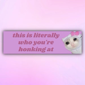 Funny Bumper Sticker &quot;this is literally who you&#39;re honking at&quot;, Cute Crying Cat Meme Car Stickers, Gen Z Car Decal