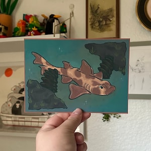 Carte postale corne de requin