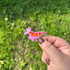 Pode incluir: Um autocolante colorido de um camarão com um design rosa em forma de flor. O camarão é vermelho e laranja com listras brancas. O autocolante é segurado contra um fundo verde desfocado.