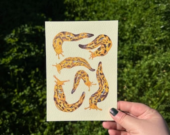 Banana Slugs 5x7 Print