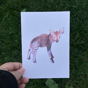 May include: A hand-drawn illustration of an okapi on a white card. The okapi is depicted with a brown body, zebra-like stripes on its legs, and large ears. The background features small star-like designs.