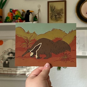 Carte postale fourmilier géant