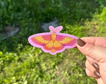 Rosy Maple Moth Waterproof Sticker
