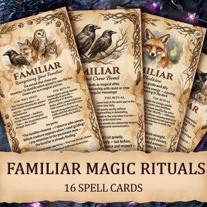 May include: A set of three ceramic mugs with a speckled, matte finish. The mugs are in shades of cream, light gray, and dark gray. Each mug has a simple, minimalist design, perfect for coffee or tea.