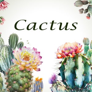 Watercolor clipart succulent cactus, Sublimation isolated on transparent background, printable art, Instant download