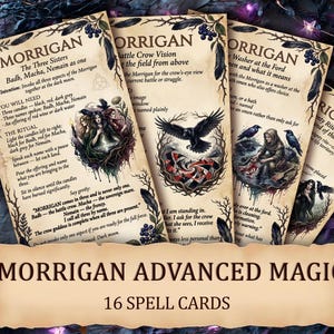 以下が含まれることがあります： 「Morrigan Advanced Magic」のテキストが入った16枚のスペルカードのセット。各カードには、Morriganに関するイラストとテキストが描かれており、「The Three Sisters」や「Battle Crow Vision」などが含まれています。
