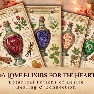 Op de afbeelding: Een verzameling vintage botanische drankprints. Elke print toont een decoratieve glazen fles met een kurk, gevuld met kleurrijke vloeistoffen en botanische illustraties. De tekst luidt "16 Love Elixirs for the Heart".