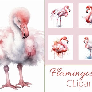 Watercolor Clipart Flamingo on White Background 10 JPEG, Instant download,Digital Download,Card Making, Digital Paper Craft