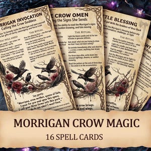 May include: A set of 16 spell cards with the text "Morrigan Crow Magic." Each card features illustrations of crows, roses, and text describing rituals and invocations. The cards have a vintage, aged appearance.
