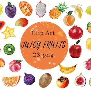 Watercolor clipart Fruits, Summer tropical pineapple, 28 PNG instantly Download illustration with Transparent background