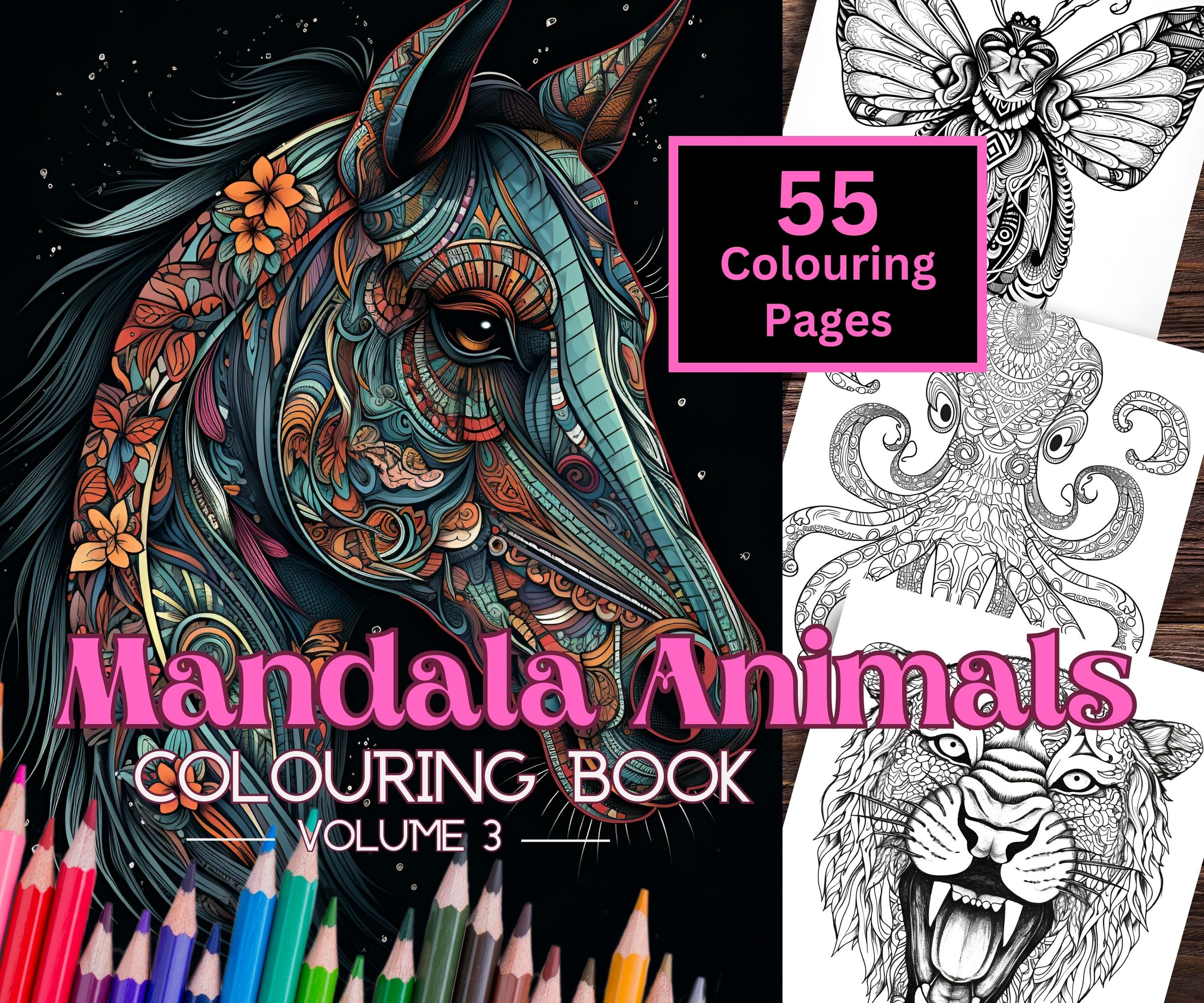 Livre De Coloriage Mandalas Animaux Pour Adultes - 30 Modèles - Papier épais 200 G/m² - Reliure Spirale - Inclus Exemples Coloriés - 6