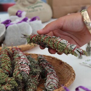 May include: A close-up of a bundle of sage smudge sticks tied with red string. The smudge sticks are in a wicker basket and a hand is holding one of the sticks.