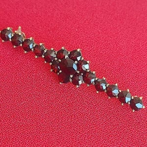 Garnet Brooch Bohemian Garnet NORM-Gold Garnet Vintage