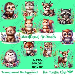Bébé Woodland Animals Clip Art Forest Animals PNG Transparent Background - Téléchargement numérique - Utilisation personnelle et commerciale