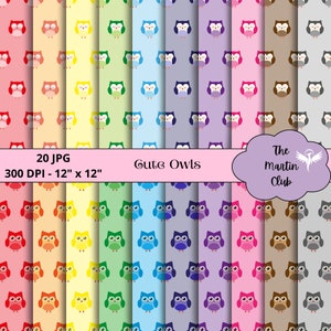 Cute Owls Background Digital Papers Rainbow Owls Scrapbook Pattern - Téléchargement numérique - Utilisation personnelle et commerciale