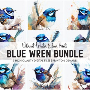 Superb Fairy Wren, Blue Wren, Australian Wren Bundle 9 DIGITAL IMAGES - (2:3 Aspect) - Digital Download Print, High Resolution, Pack