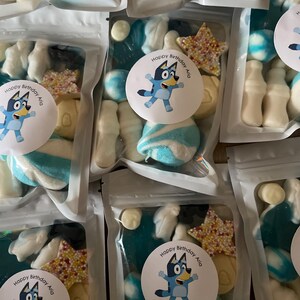 Bluey Party Bags Pre-Filled With Toys! Personalized Fillers For Kids' Birthday