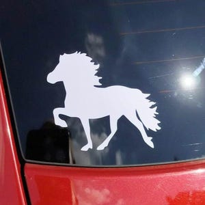 Adesivo tölting cavallo islandese, cavallo islandese, tölt