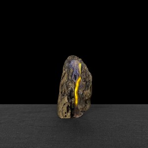 Unique and original luminous work, LED wood and epoxy resin lamp