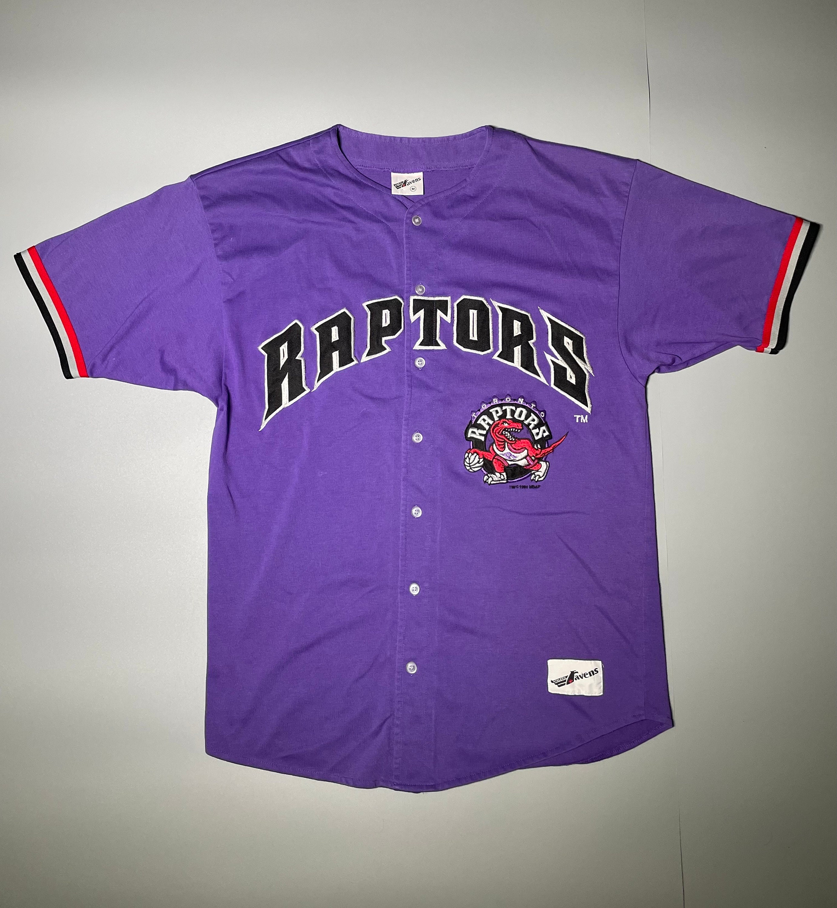 Vintage Champion Toronto Raptors Marcus Camby Jersey Youth XL (18-20) Purple