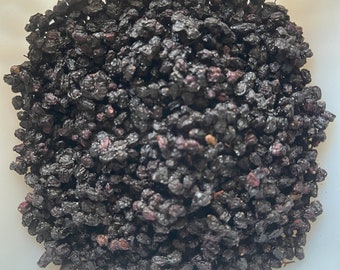 Elderberry - Black (Sambucus nigra)